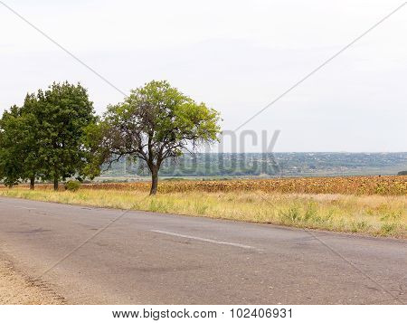 Old Damaged Asphalt Road In Rural Ukraine. Rural Landscape.