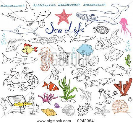 Big Sea Life Animals Hand Drawn Sketch Set. Doodles Of Fish, Shark, Octopus, Star, Crab, Whale, Turt