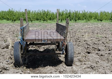 Wagon