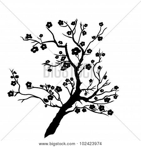 Twig Plum Mei Blossoms