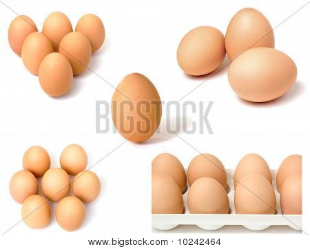 달걀 테마 콜라주