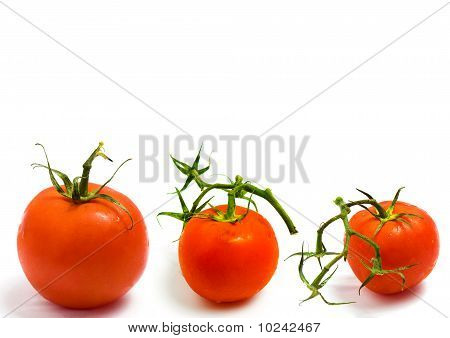 토마토 테마로 콜라주