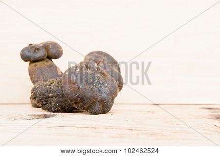 Bolete