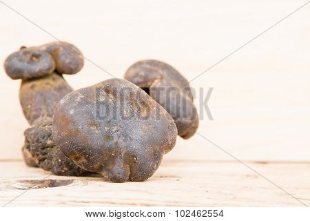 Bolete