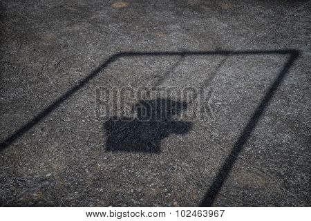 Shadow of a Teddybear on a swing