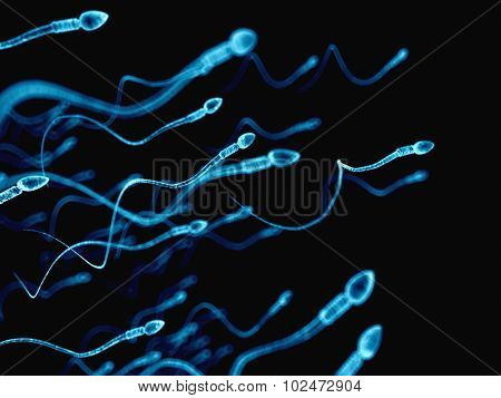 medically accurate illustration of human sperms