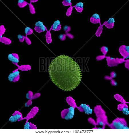 medically accurate illustration of a virus being attacked by antibodies