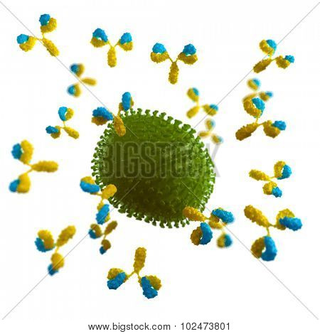 medically accurate illustration of a virus being attacked by antibodies