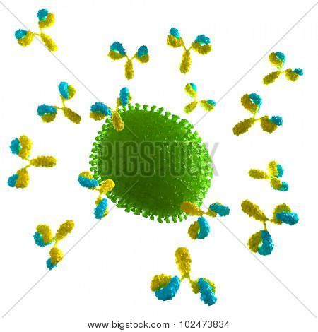 medically accurate illustration of a virus being attacked by antibodies