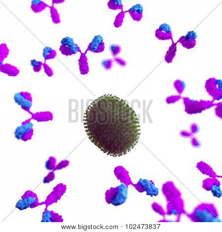 medically accurate illustration of a virus being attacked by antibodies
