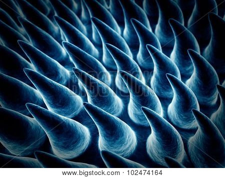SEM style illustration of the tongue surface