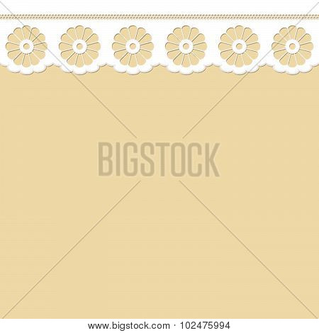 Border On Colored Background