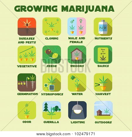 Marijuana growing icon set.