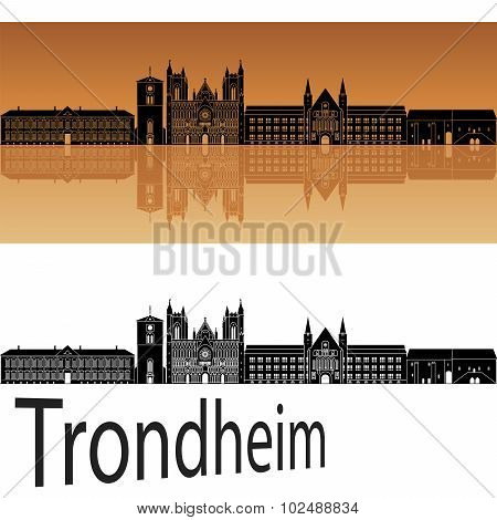 Trondheim Skyline