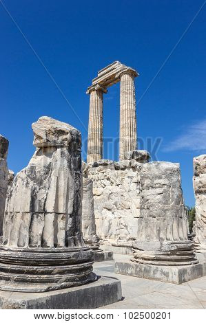 Columns In The Temple Apollo