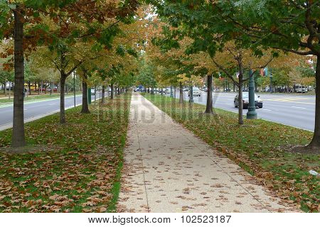 Fall Foliage in Philadelphia