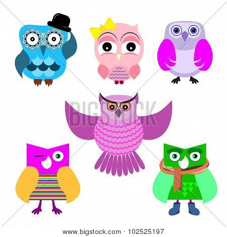 Cartoon owl set