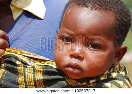 An African child on the Mount of Kilolo, Tanzania - Africa