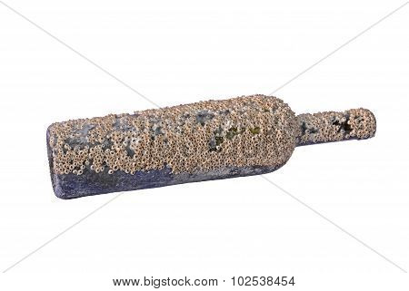 Bottle overgrown with shells