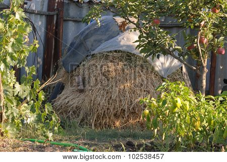 haystack in the garden