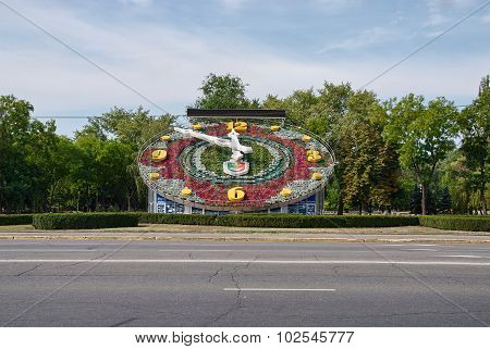 Flower Clock In Krivoy Rog