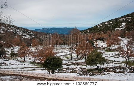Winter Landscape In The Mountains Near Vassa, Greece