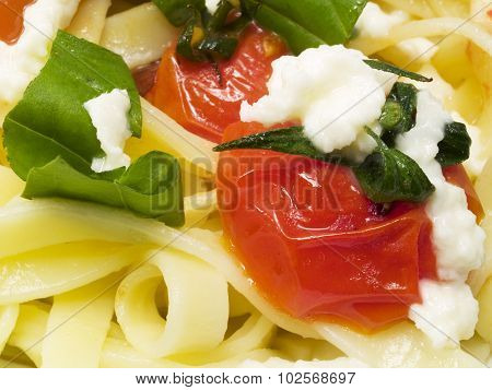 Pasta Collection - Fettucini With Tomatoes, Basil And Mozarella