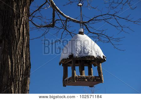 Birdhouse In Winter