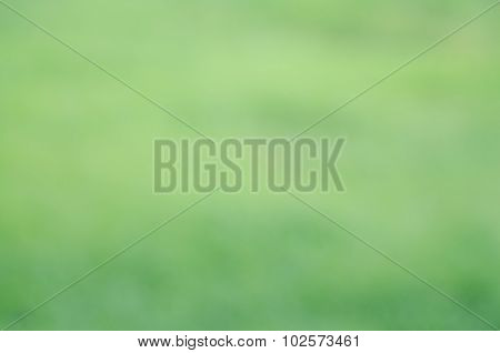 Background Texture Leaves