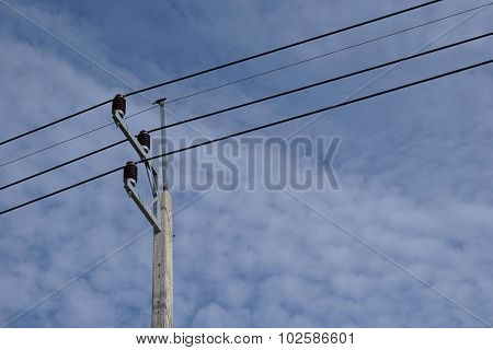 Abstract Electric Wire With Bird