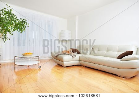 Beautiful cozy modern apartment. Real estate concept.