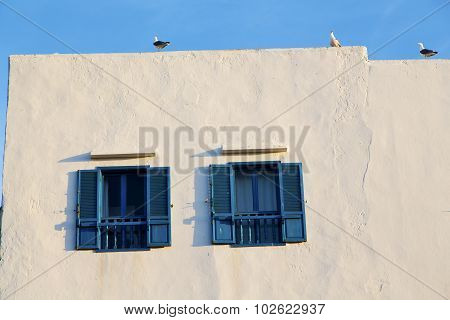 Window In Morocco Africa And Old  Brick Historical