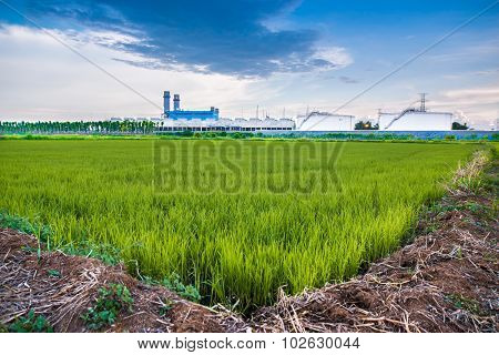 The Factory And Field