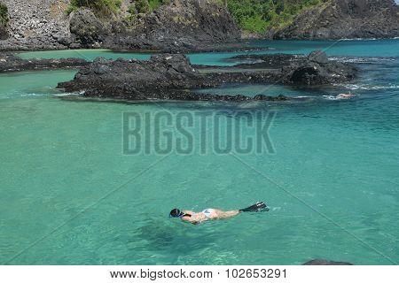 Diving in a crystalline sea beach in Fernando de Noronha, Brazil
