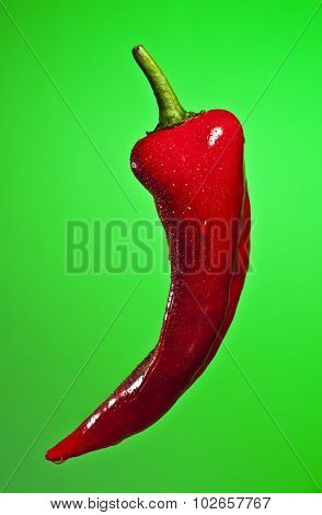 red chili pepper on green gradient background