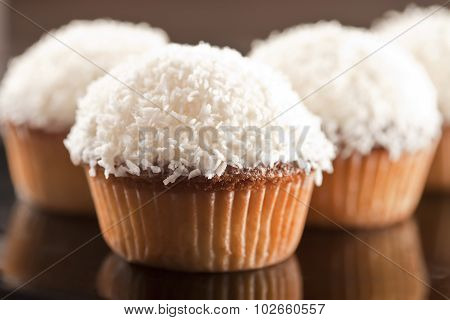Coconut Cupcake