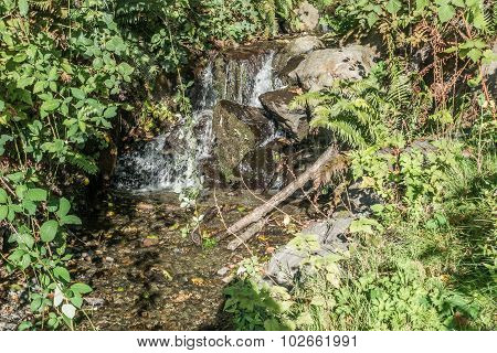 Rushing Stream