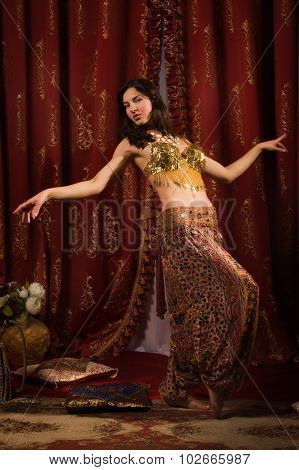 Arabic Belly Dancer Dancing