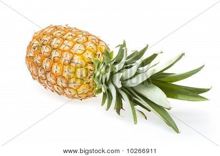 Ananas