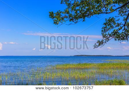 Lake shore
