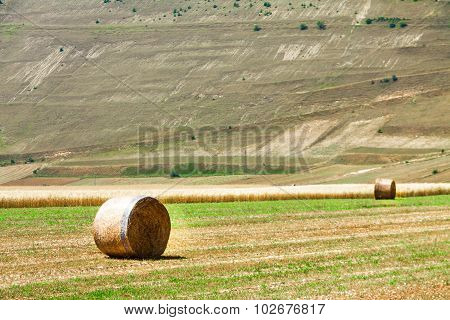 Hay Bails On The Field