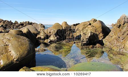โค Del Mar Tidepools 3
