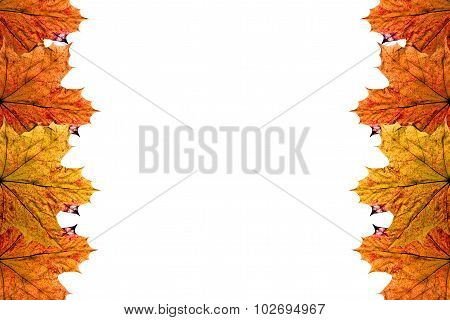 autumn background