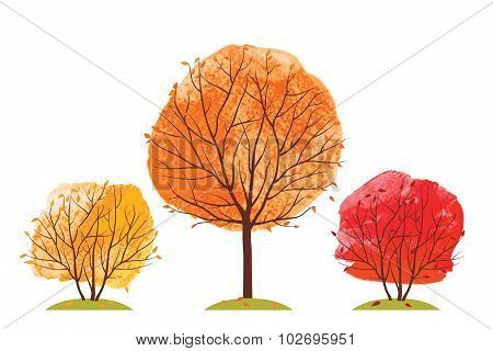 Autumn trees.