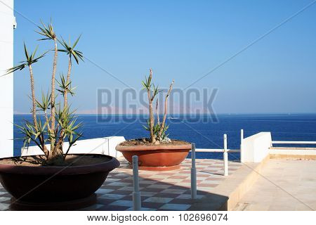 Open Area Of Hotel