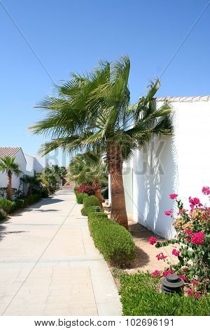 Path In Resort Hotel