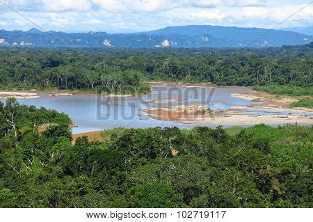 Amazon Forest