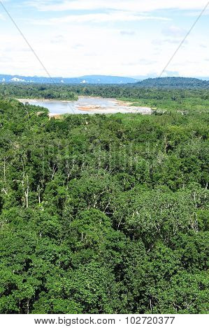 Amazon Forest, Bolivia