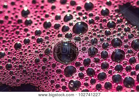 Fermentation of red wine