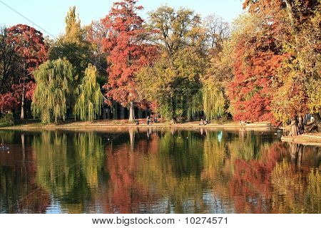 Landscape
